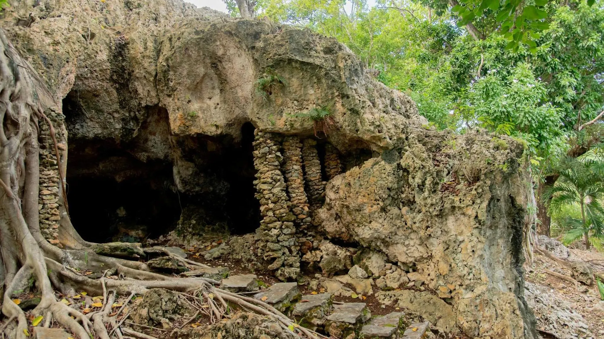 Estudio Jardin Escondido Las Galeras 0*,  Dominican Republic
